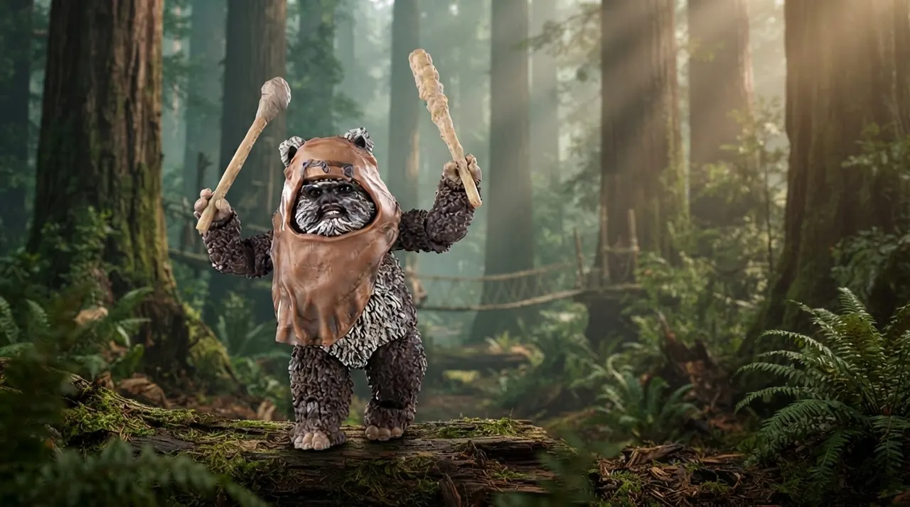 Hasbro Star Wars Black Series Wicket 6" Figurine articulée - Image 5