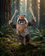 Hasbro Star Wars Black Series Wicket 6" Figurine articulée - Thumbnail 6