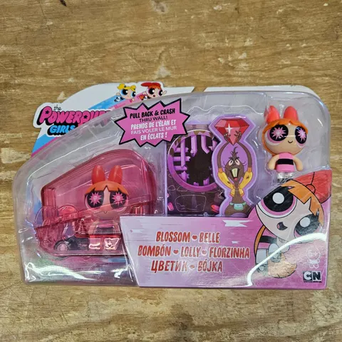 Spin Master Blossom Powerpuff Girls Action Figure – Damaged Box