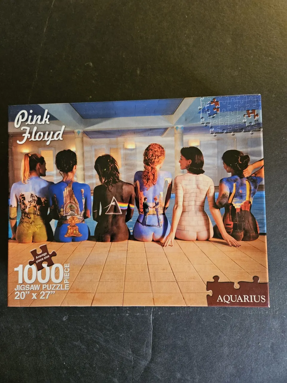 Aquarius Pink Floyd Back Art 1000-Piece Jigsaw Puzzle 20x27 - Image 1