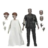NECA Universal Monsters 90e anniversaire Bride & Monster Two-Pack - Thumbnail 1