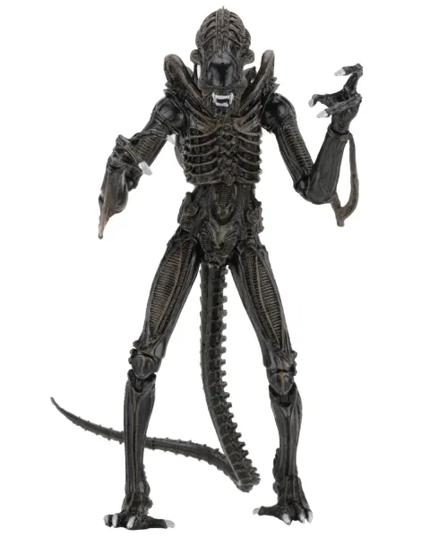 NECA Alien Xenomorph Warrior Ultimate Figure – 7" Scale Brown