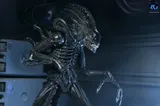 NECA Aliens Ultimate Action Figure – Xenomorph Warrior (40th Anniversary, 23 cm) - Thumbnail 11