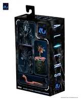 NECA Aliens Ultimate Action Figure – Xenomorph Warrior (40th Anniversary, 23 cm) - Thumbnail 6